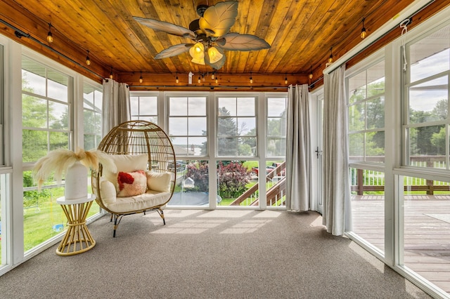 29084 Machmeier Ct, Lindstrom, MN 55045 - photo 24