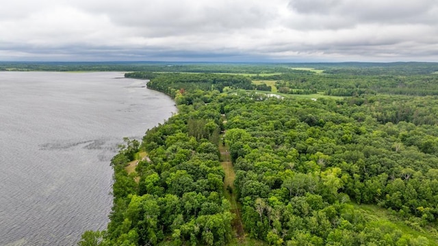 22560 Height Of Land Dr, Detroit Lakes, MN 56501 - photo 37