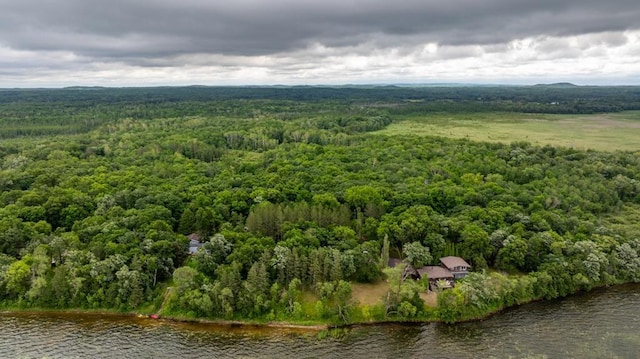 22560 Height Of Land Dr, Detroit Lakes, MN 56501 - photo 40
