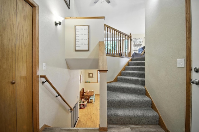 785 Lee St NE, Owatonna, MN 55060 - photo 4