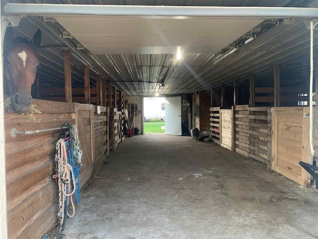 25318 County Highway 13, Hamden Twp, MN 56511 - photo 10