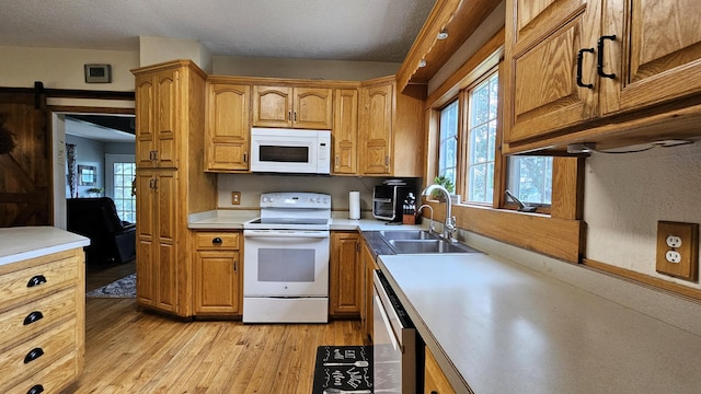 25318 County Highway 13, Hamden Twp, MN 56511 - photo 14