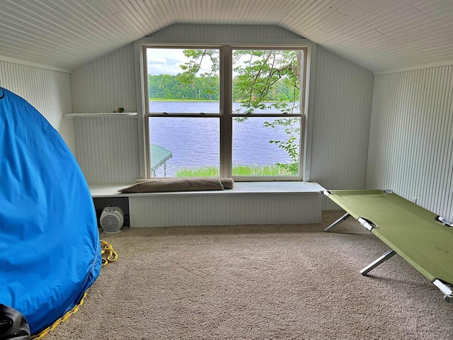 5499 Forest Ridge Rd, Garrison, MN 56450 - photo 11