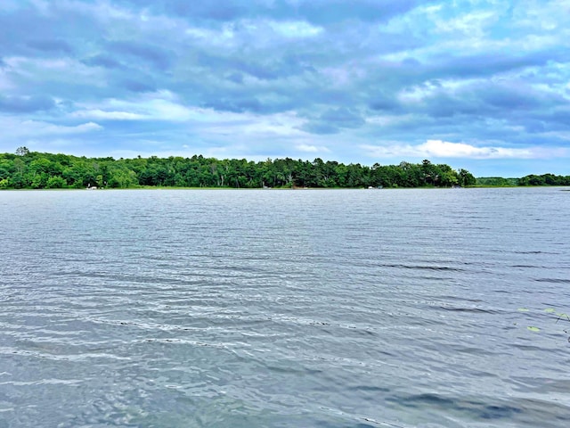 5499 Forest Ridge Rd, Garrison, MN 56450 - photo 19