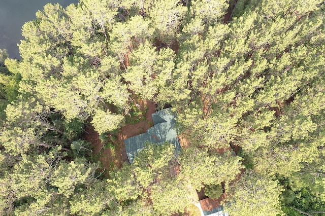 1995 Pine Tree Trl, Morse Twp, MN 55731 - photo 28