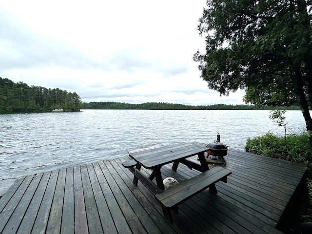 1995 Pine Tree Trl, Morse Twp, MN 55731 - photo 18