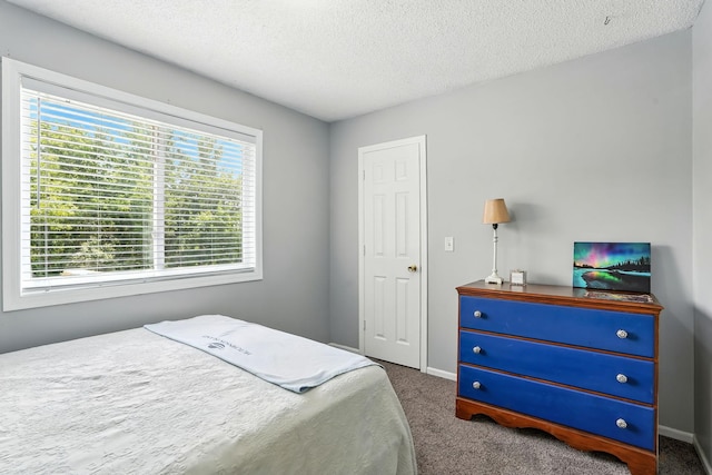 46645 Acacia Trl, Stanchfield, MN 55080 - photo 14
