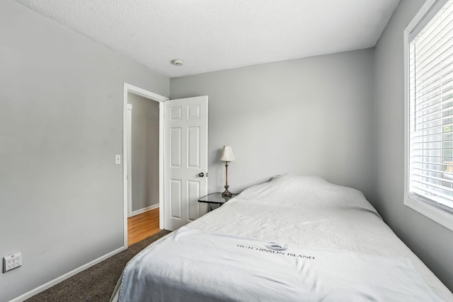 46645 Acacia Trl, Stanchfield, MN 55080 - photo 15