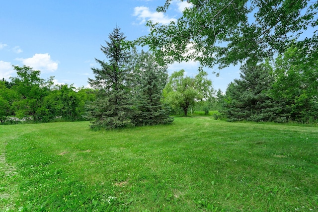 46645 Acacia Trl, Stanchfield, MN 55080 - photo 31