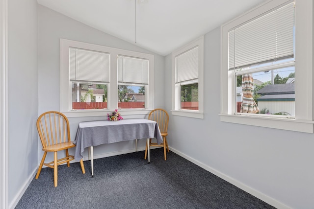 3912 13th Ave S, Minneapolis, MN 55407 - photo 28