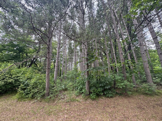 TBD Height Of Land Dr, Detroit Lakes, MN 56501 - photo 13