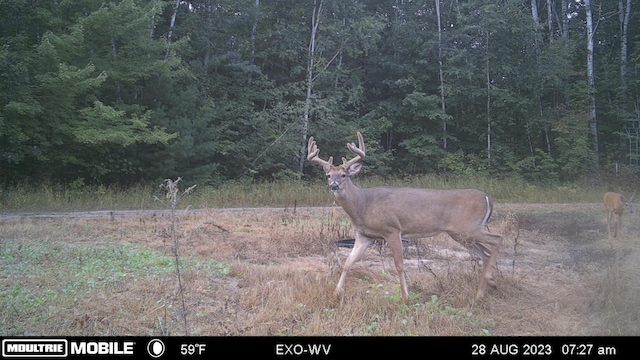 28562 Cross Lake Rd, Mission Creek Twp, MN 55037 - photo 21