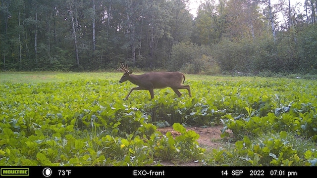 28562 Cross Lake Rd, Mission Creek Twp, MN 55037 - photo 22