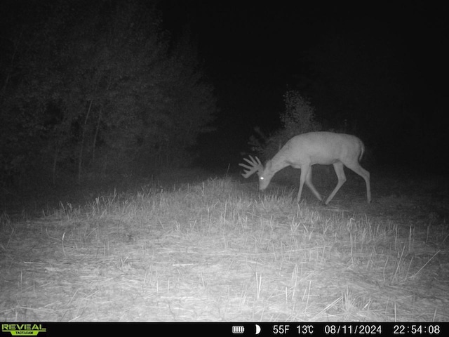28562 Cross Lake Rd, Mission Creek Twp, MN 55037 - photo 24