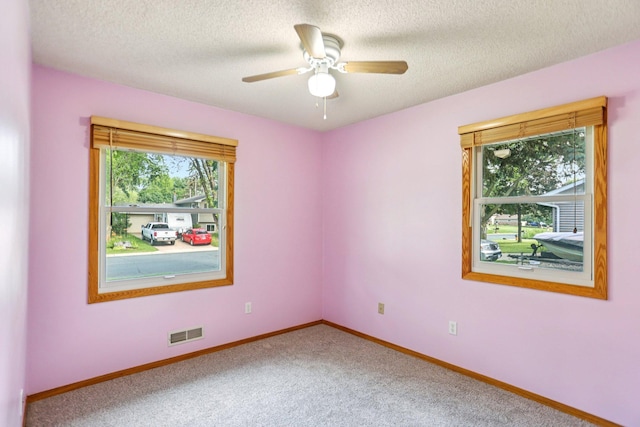 1188 Tyler St S, Shakopee, MN 55379 - photo 16