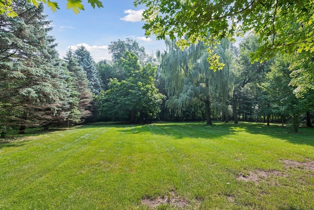 3646 Labore Rd, Gem Lake, MN 55110 - photo 74