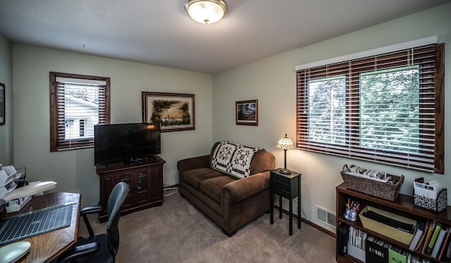3308 Barbara Ln, Burnsville, MN 55337 - photo 18