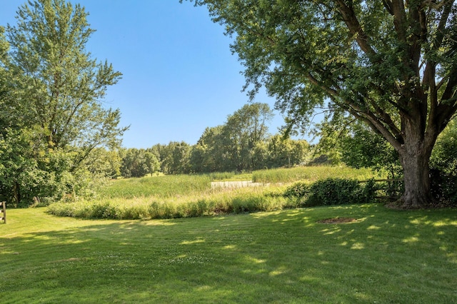 27015 123rd Ave N, Rogers, MN 55374 - photo 38