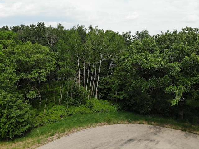TBD Stony Hills Ln, Edna Twp, MN 56573 - photo 2
