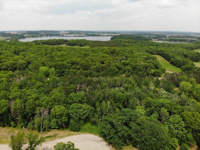 TBD Stony Hills Ln, Edna Twp, MN 56573 - photo 3
