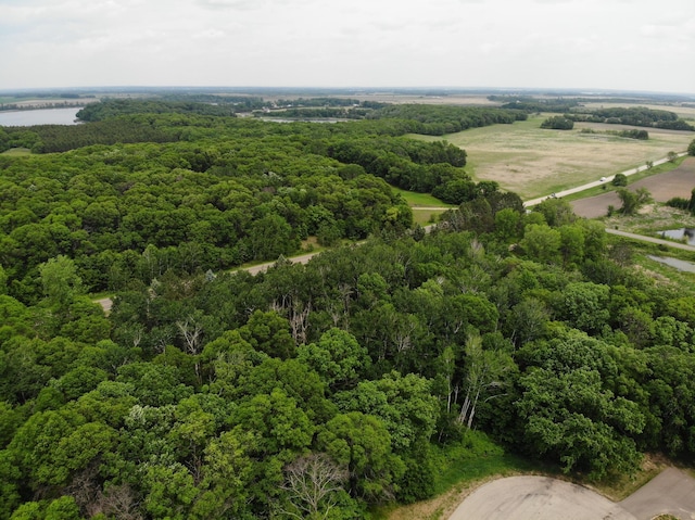 TBD Stony Hills Ln, Edna Twp, MN 56573 - photo 4