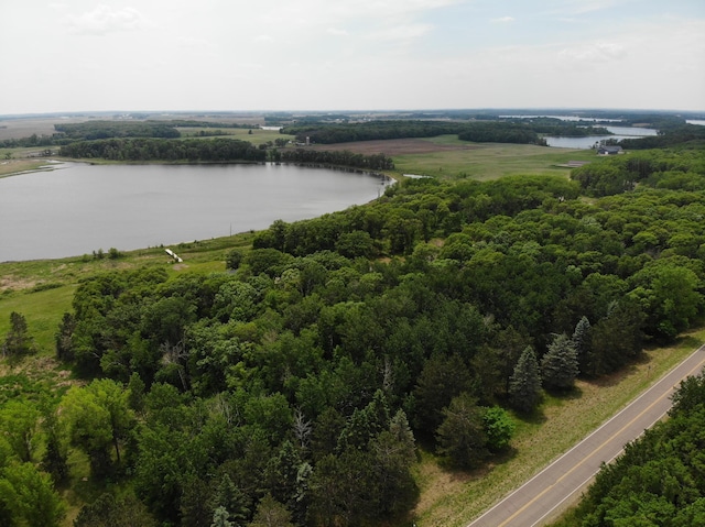 TBD Stony Hills Ln, Edna Twp, MN 56573 - photo 7