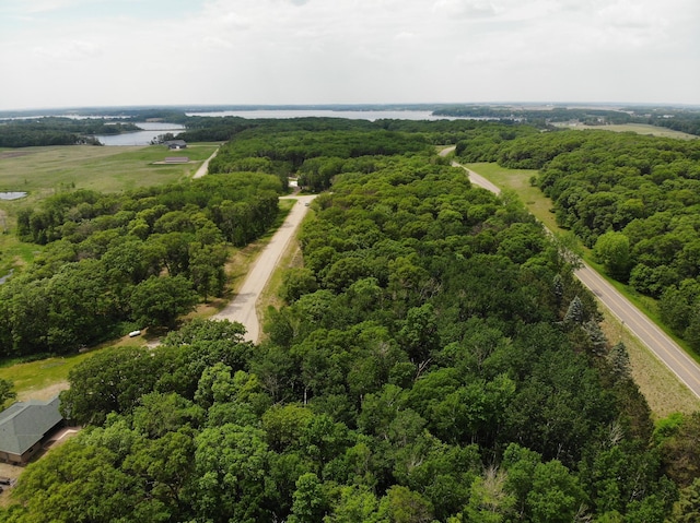 TBD Stony Hills Ln, Edna Twp, MN 56573 - photo 8