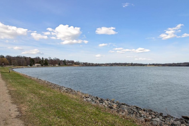 TBD Lake Blvd, Buffalo, MN 55313 - photo 15