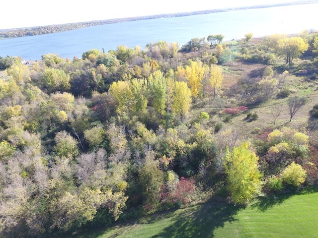 TBD Lake Blvd, Buffalo, MN 55313 - photo 21
