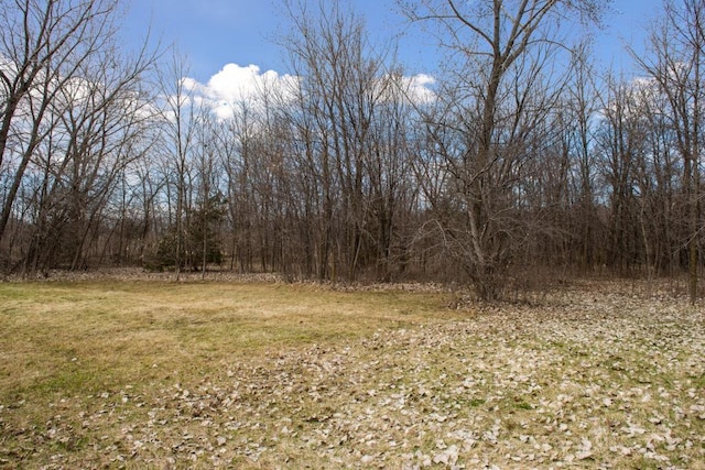 TBD Lake Blvd, Buffalo, MN 55313 - photo 25