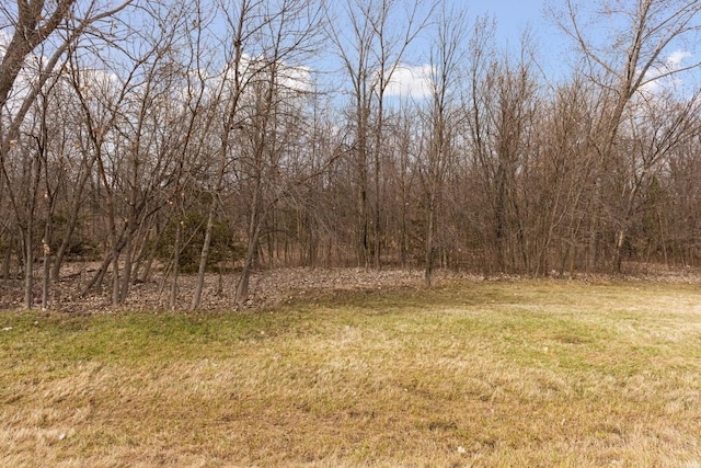 TBD Lake Blvd, Buffalo, MN 55313 - photo 27