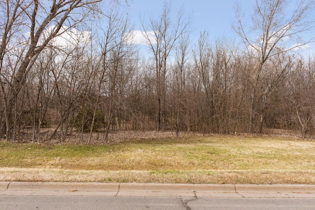 TBD Lake Blvd, Buffalo, MN 55313 - photo 28