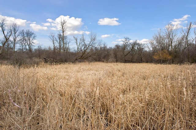 TBD Lake Blvd, Buffalo, MN 55313 - photo 29
