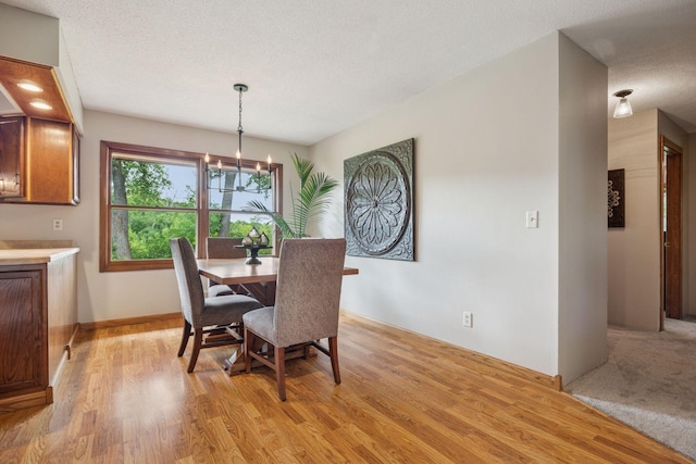 11032 Vera Cruz Ave N, Champlin, MN 55316 - photo 9