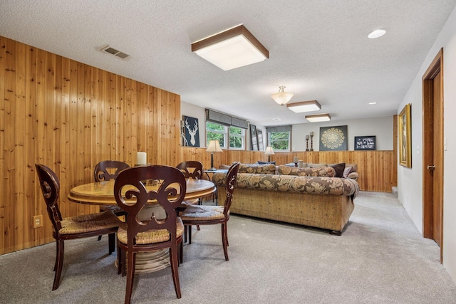 11032 Vera Cruz Ave N, Champlin, MN 55316 - photo 22