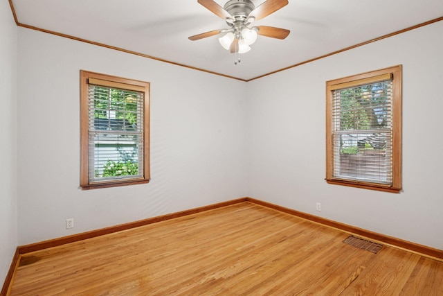 4404 31st Ave S, Minneapolis, MN 55406 - photo 16