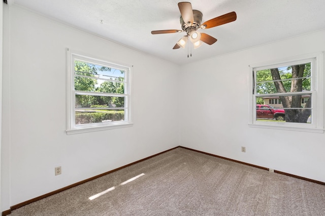 1000 86th St, Bloomington, MN 55420 - photo 14