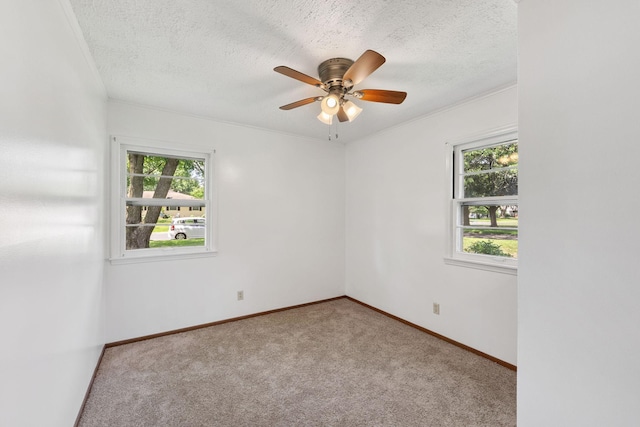1000 86th St, Bloomington, MN 55420 - photo 11