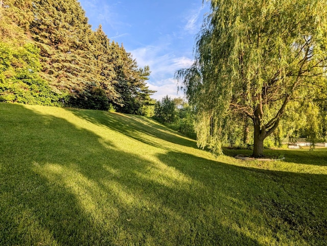 650 Texas Ave NW, Hutchinson, MN 55350 - photo 41