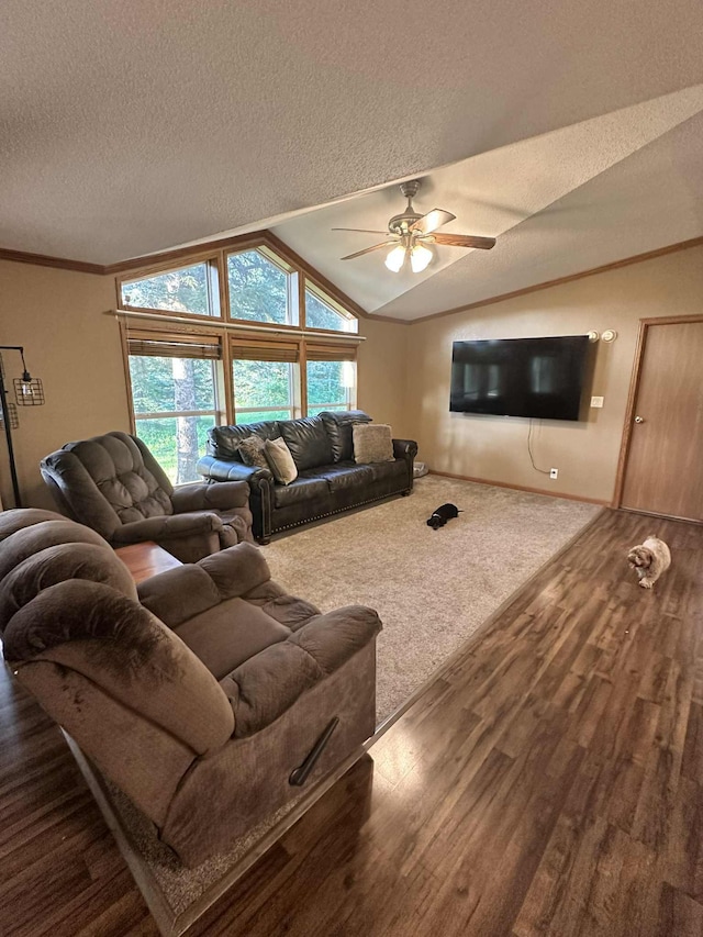 19754 Bell Loop, Bagley, MN 56621 - photo 8