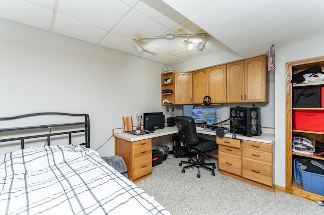 20 Amy Ln, Mantorville, MN 55955 - photo 30