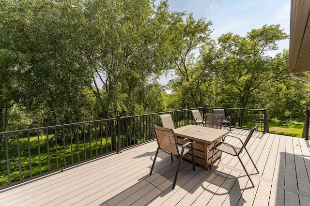 20 Amy Ln, Mantorville, MN 55955 - photo 34