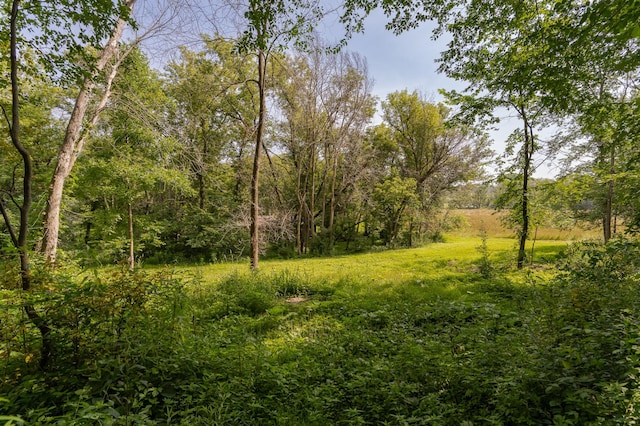 20 Amy Ln, Mantorville, MN 55955 - photo 37