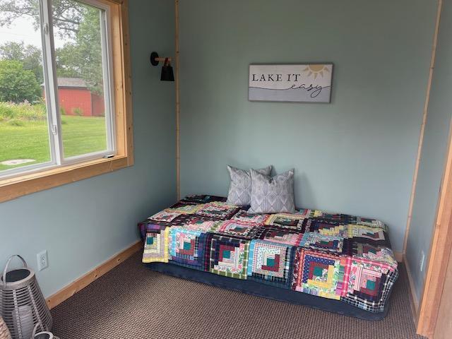 36154 Silver Lake Rd, Battle Lake, MN 56515 - photo 14