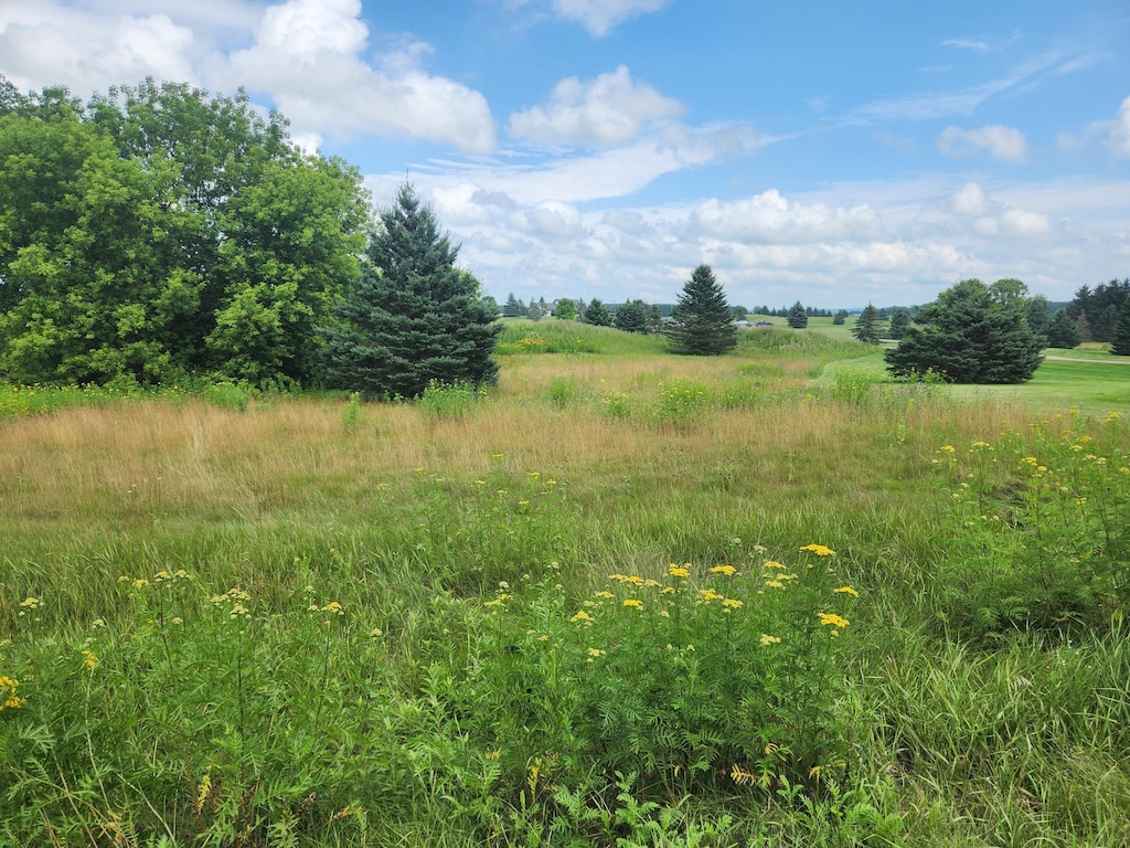 TBD 20 1/2 Street, Rice Lake, WI 54868 - photo 1