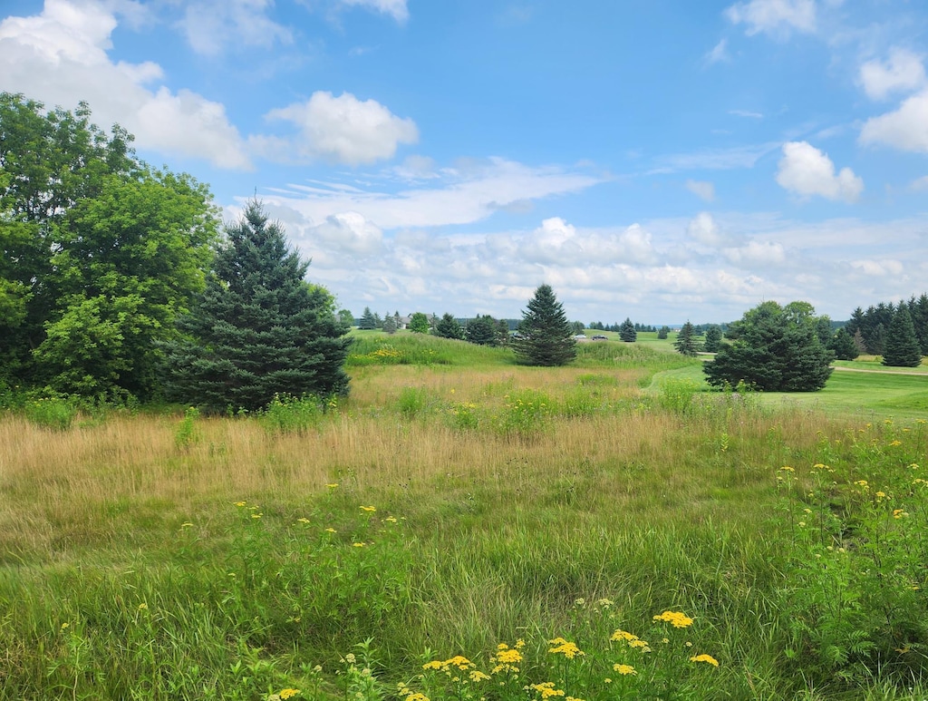 TBD 20 1/2 Street, Rice Lake, WI 54868 - photo 3