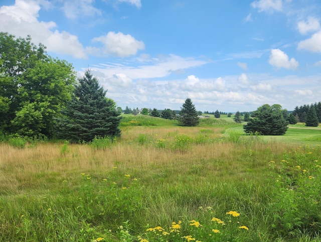 TBD 20 1/2 Street, Rice Lake, WI 54868 - photo 3