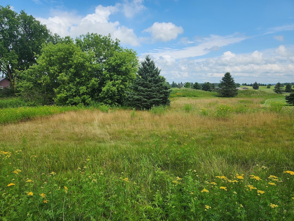 TBD 20 1/2 Street, Rice Lake, WI 54868 - photo 4