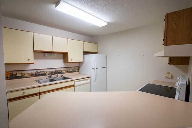 410 1st St SE Unit 105, Little Falls, MN 56345 - photo 10
