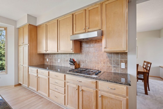 18810 65th Pl N, Maple Grove, MN 55311 - photo 12